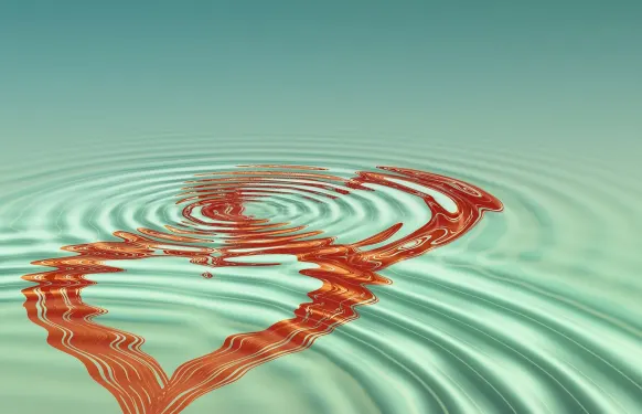 Казино Барбадос Бинго Поддръжка